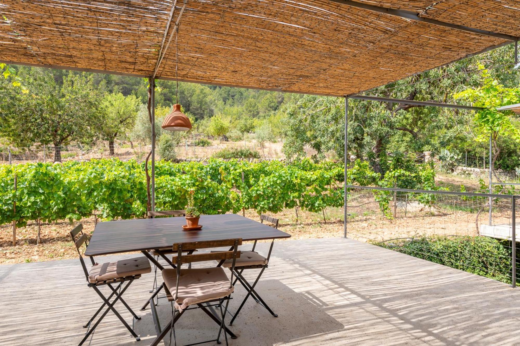 Agroturismo Filicumis By Mhr リョセタ 部屋 写真